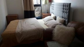 Quiet spacious two bedroom apartment with host in the property